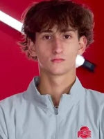 Ilija Palavestra