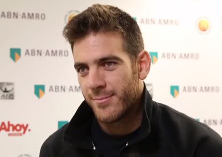 ATP Rotterdam. Del Potro survives Monfils. Murray advances
