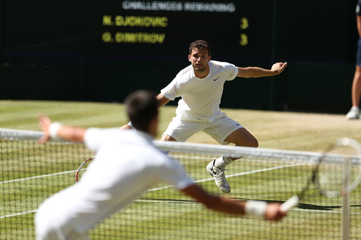 Highlights Day 11: Djokovic Beats Dimitrov To Reach Wimbledon 2014 ...