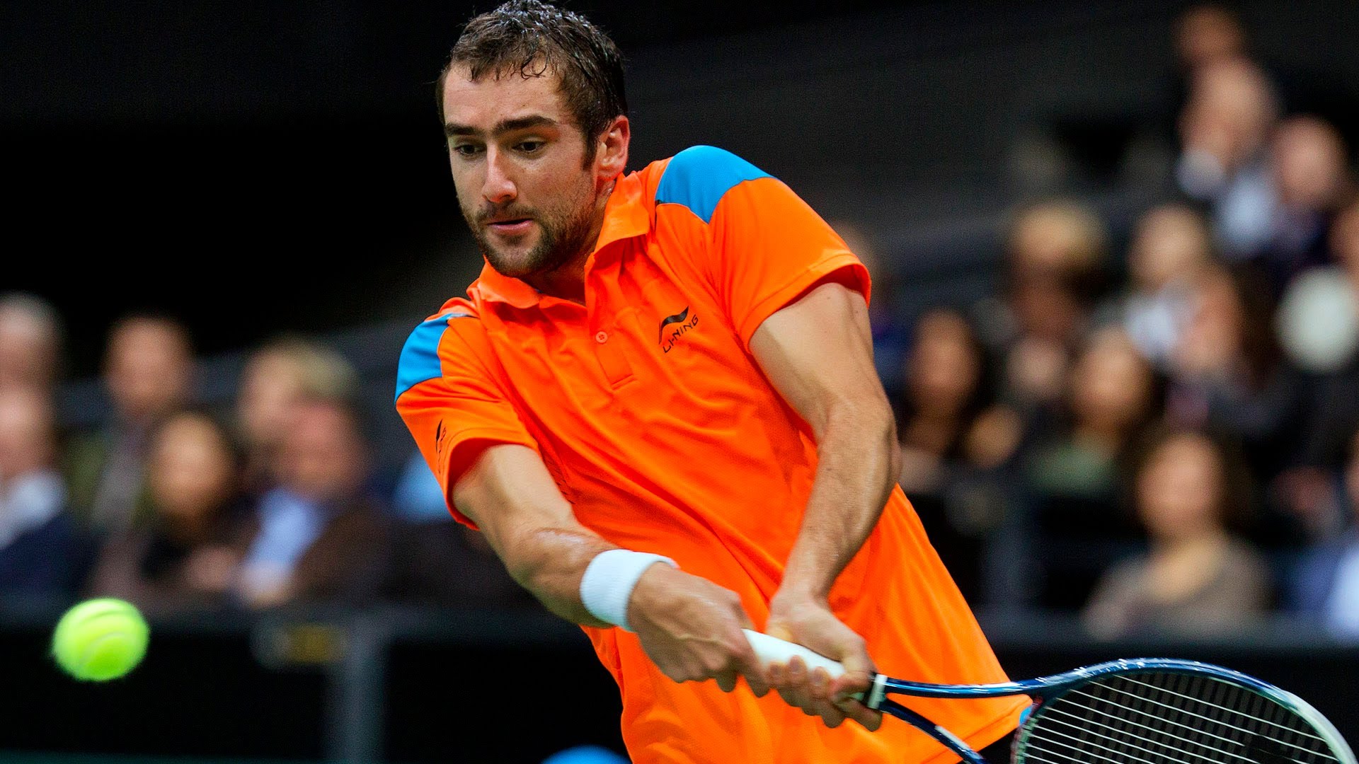 ATP Rotterdam, Highlights Cilic Sijsling Tennis Tonic News