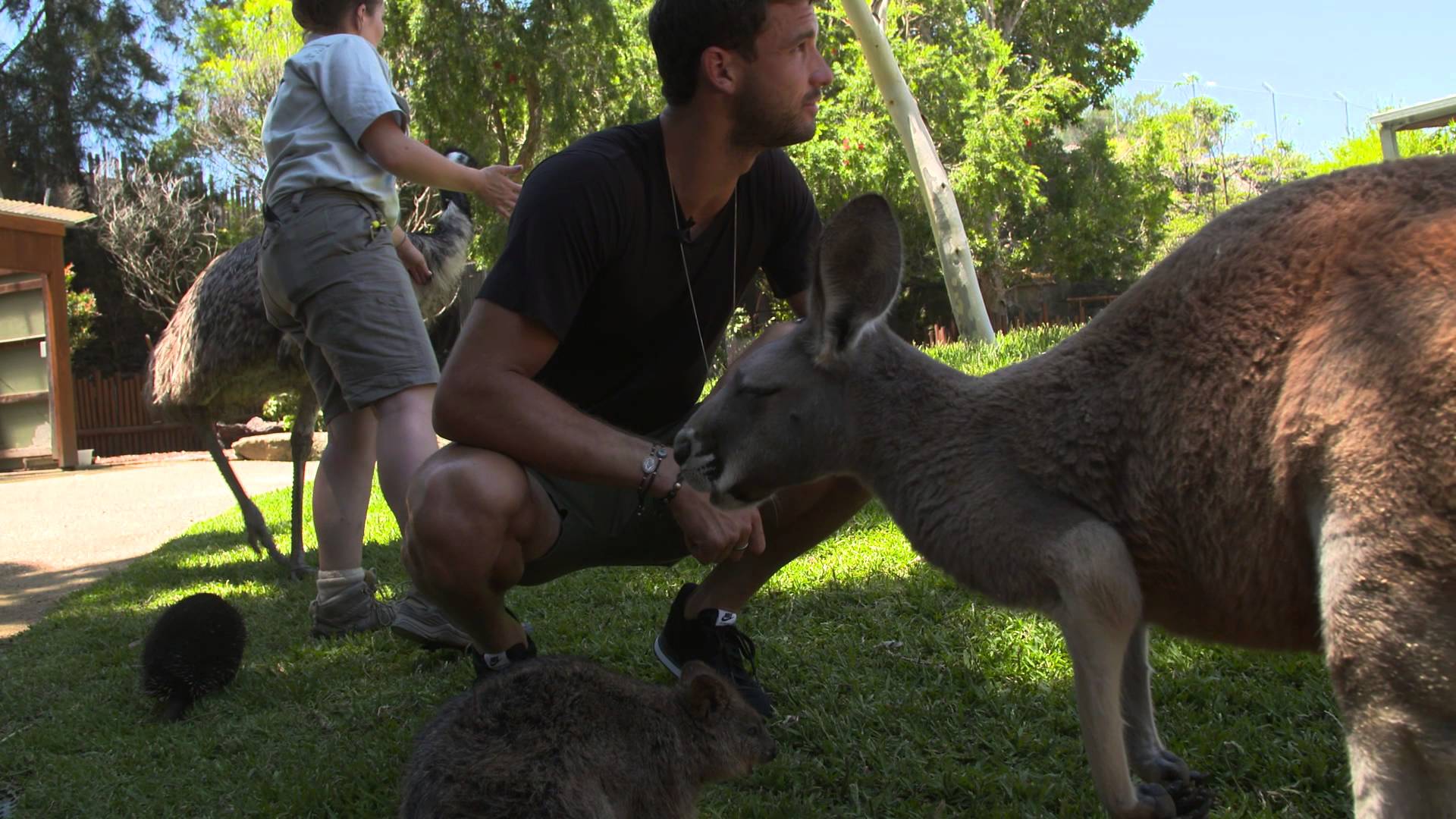 Grigor Dimitrov enjoys a day out with some Aussie wildlife Apia