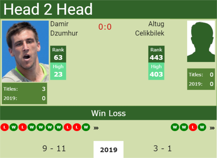 H2h Damir Dzumhur Vs. Altug Celikbilek 