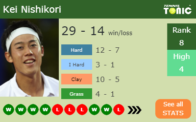 Kei Nishikori Stats info
