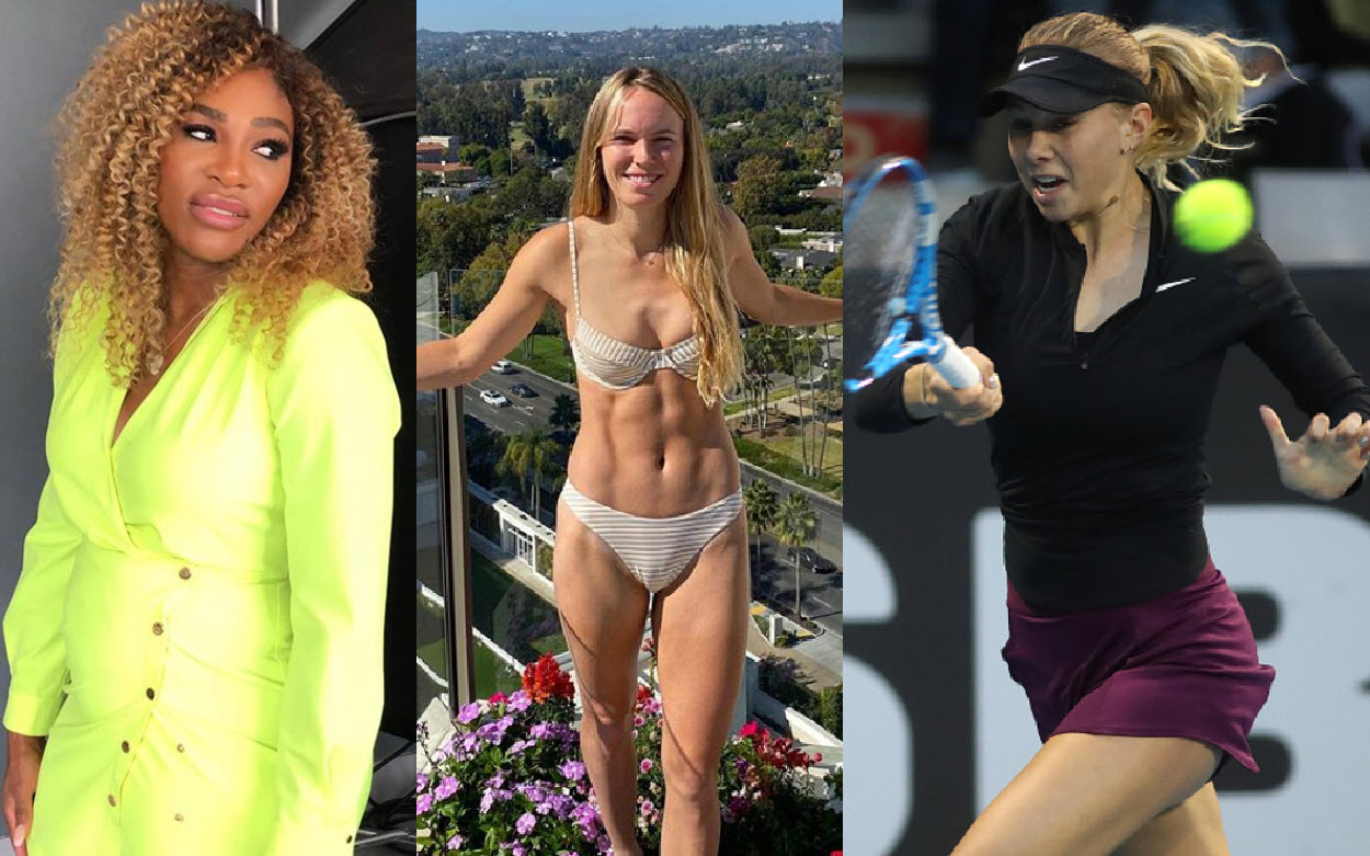 ASB Classic predictions, H2H Serena Williams, Anisimova, Wozniacki and Pegula to play on Saturday the semis - Tennis Tonic