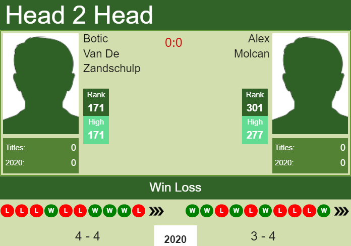 Prediction and head to head Botic Van De Zandschulp vs. Alex Molcan