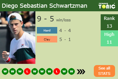 Diego Sebastian Schwartzman Stats info