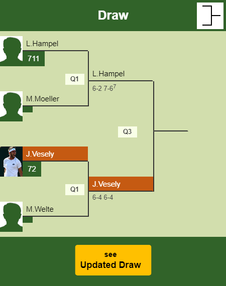 Jiri Vesely Draw info