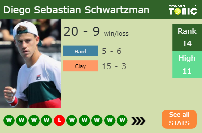 Diego Sebastian Schwartzman Stats info