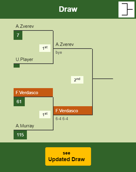 Fernando Verdasco Draw info