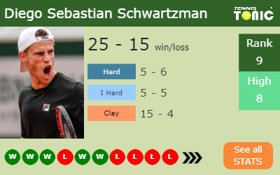 Diego Sebastian Schwartzman Stats info