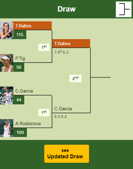Timea Babos Draw info