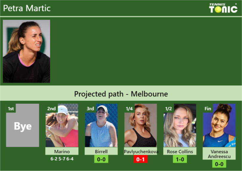 Petra Martic Stats Info N53nznoxvo Petra Martic Stats info
