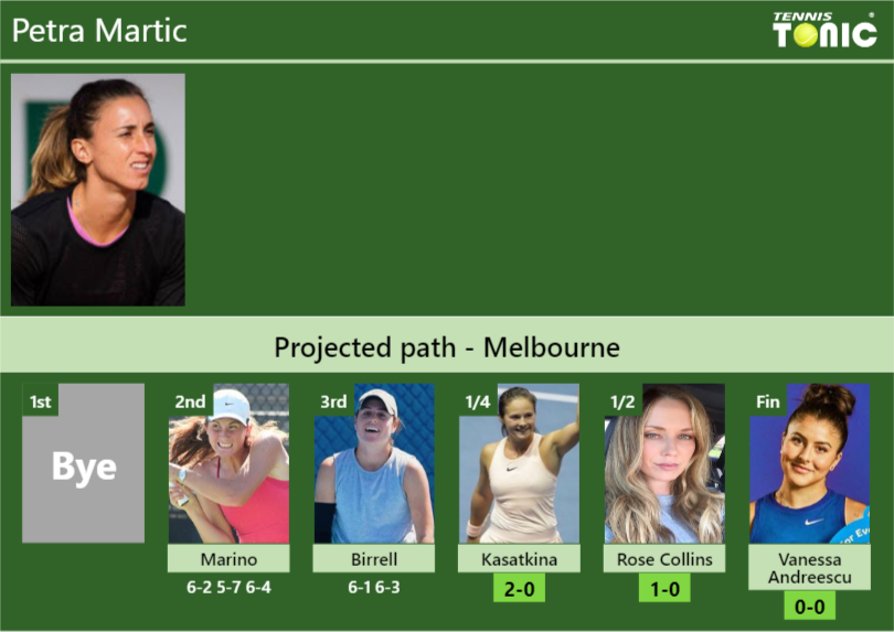 Petra Martic Stats info