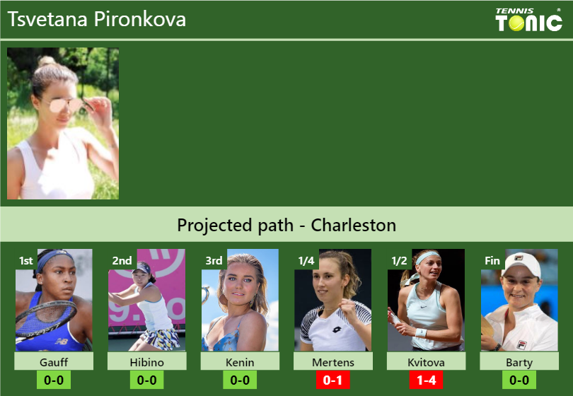 Tsvetana Pironkova Stats info