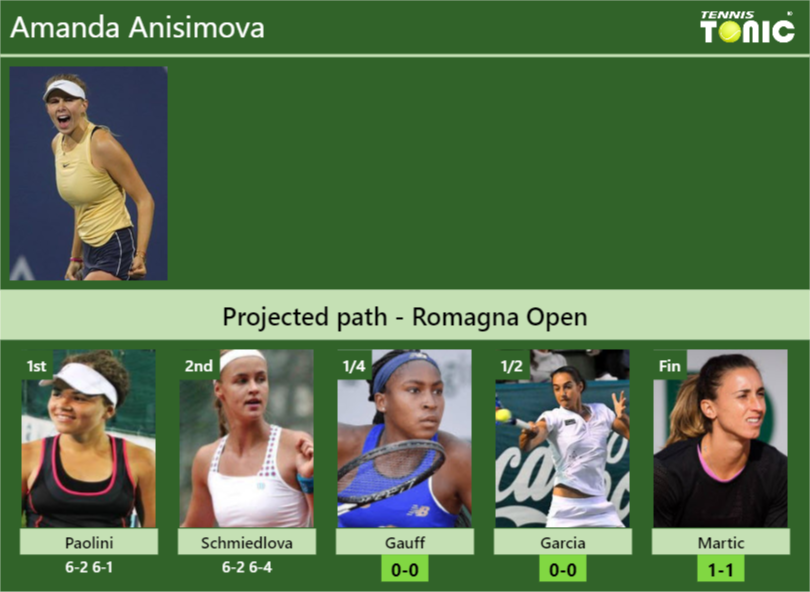 Amanda Anisimova Stats info