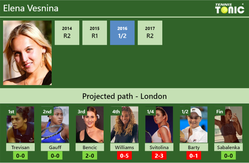 Elena Vesnina Stats info
