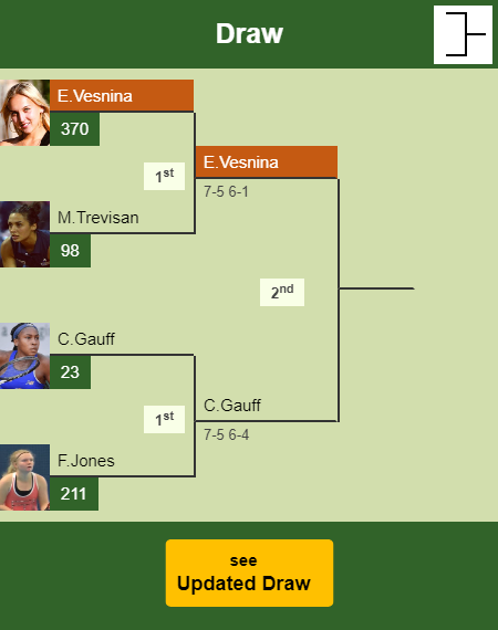 Elena Vesnina Draw info