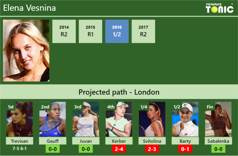 Elena Vesnina Stats info