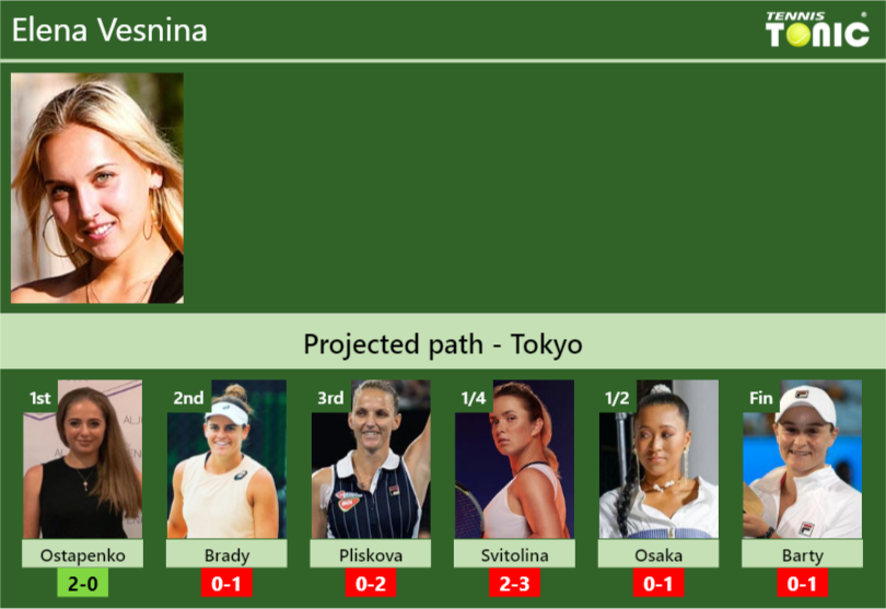 Elena Vesnina Stats info