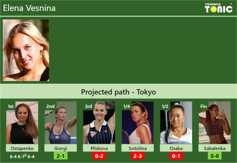 Elena Vesnina Stats info