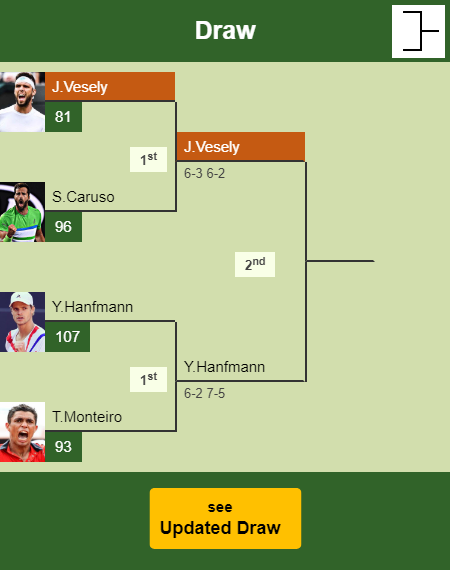 Jiri Vesely Draw info