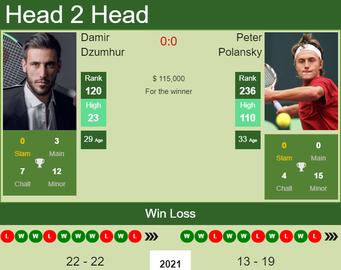 Prediction and head to head Damir Dzumhur vs. Peter Polansky