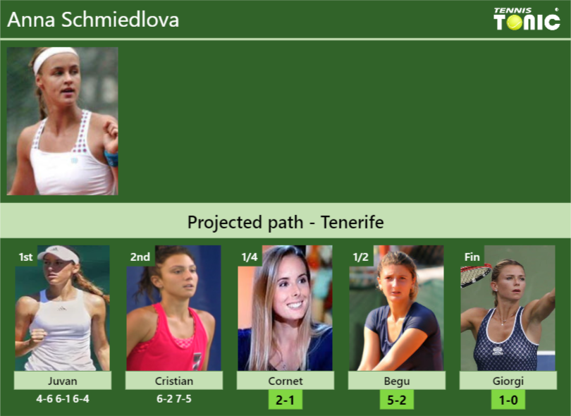 Anna Schmiedlova Stats info