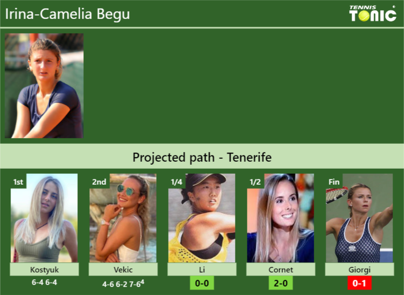Irina-Camelia Begu Stats info