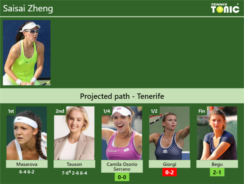 Saisai Zheng Stats info