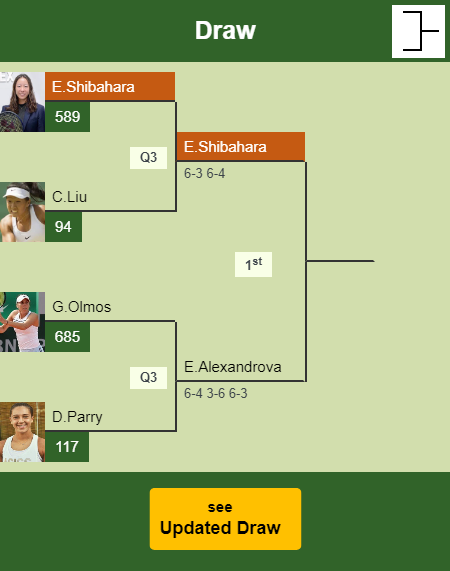 Ena Shibahara Draw info