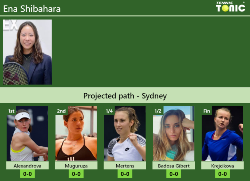 Ena Shibahara Stats info