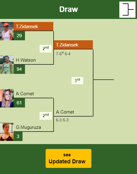 Tamara Zidansek Draw info