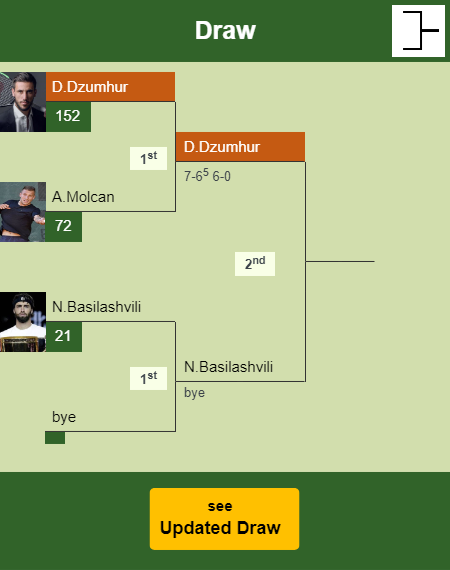 Damir Dzumhur Draw info