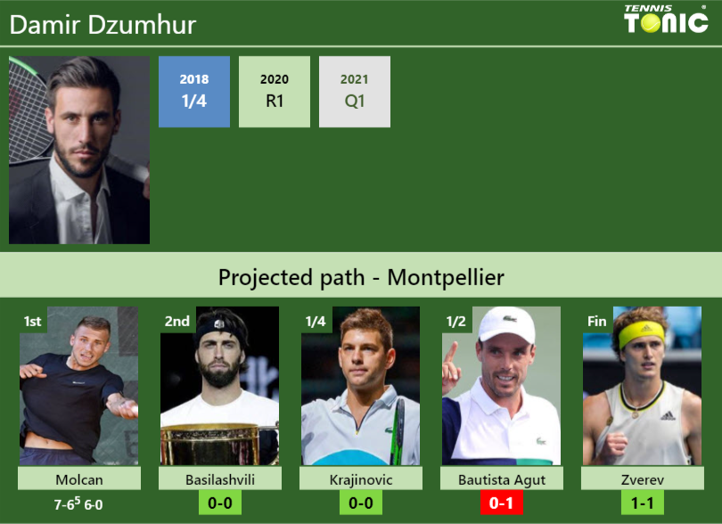 Damir Dzumhur Stats info