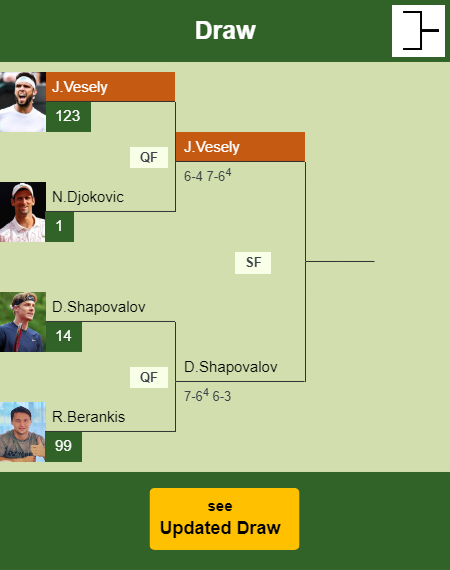 Jiri Vesely Draw info