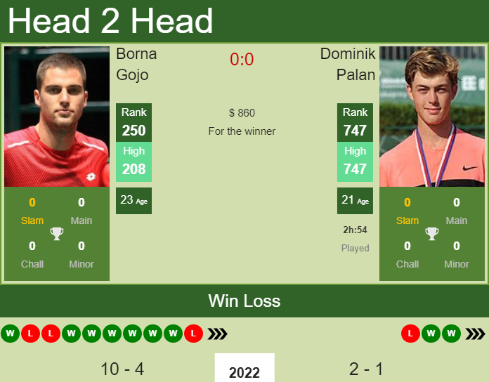 Prediction and head to head Borna Gojo vs. Dominik Palan