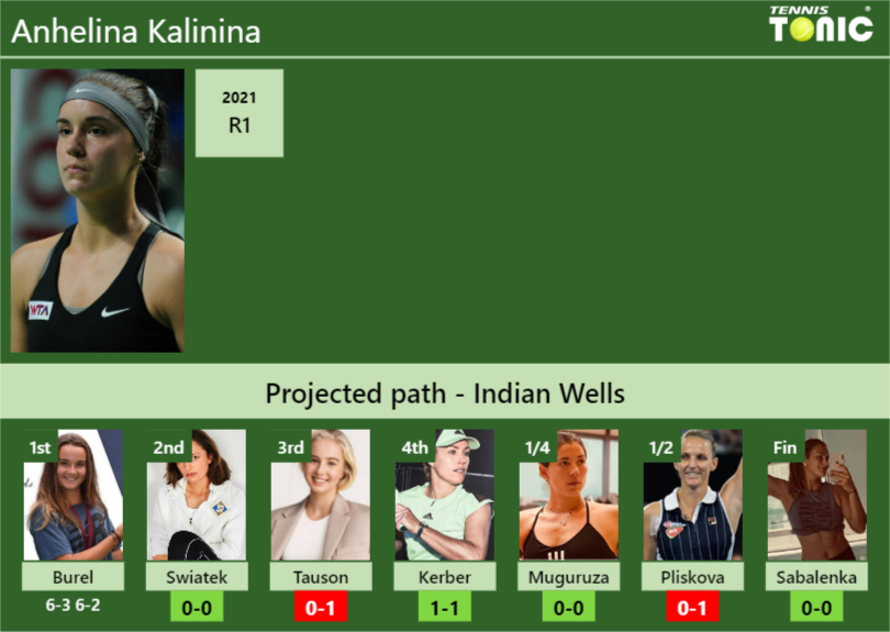 Anhelina Kalinina Stats info