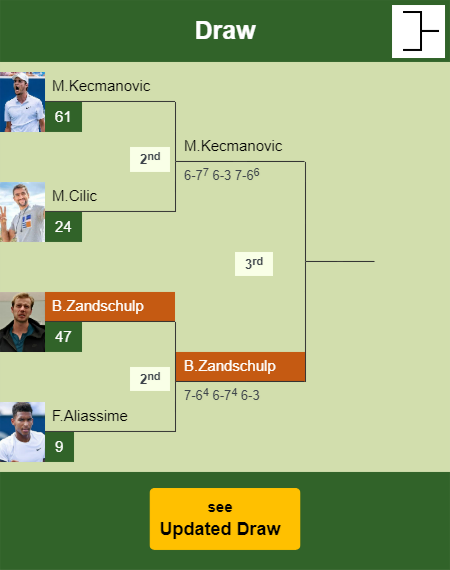 Botic Van De Zandschulp Draw info