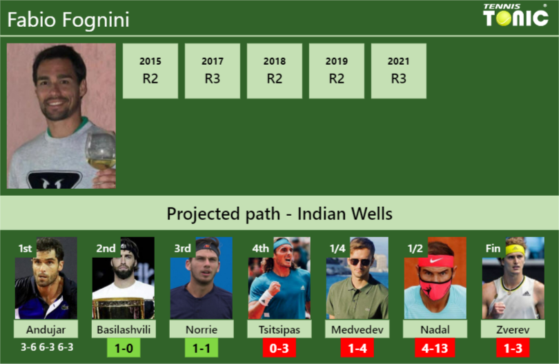 Fabio Fognini Stats info