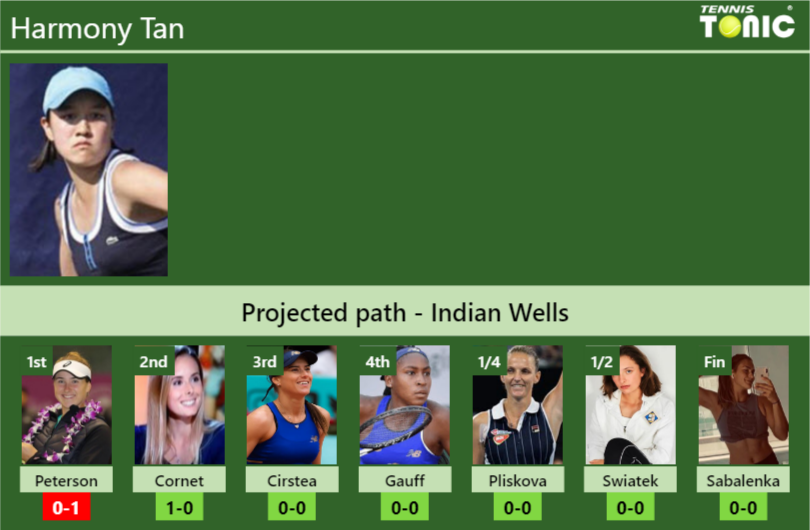 Harmony Tan Stats Info Icb23kql3y Harmony Tan Stats info