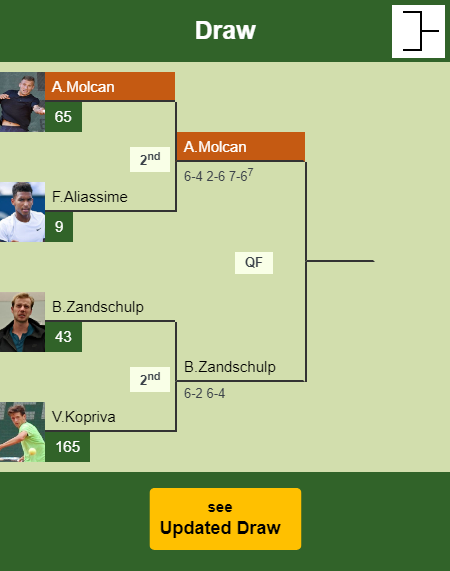 Alex Molcan Draw info