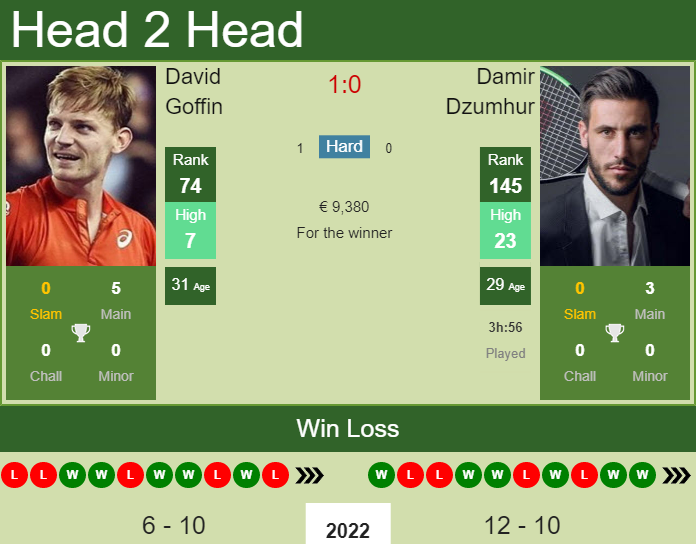 Prediction and head to head David Goffin vs. Damir Dzumhur