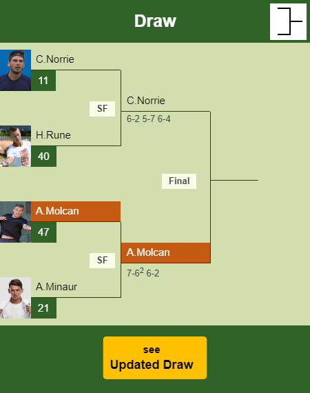 Alex Molcan Draw info