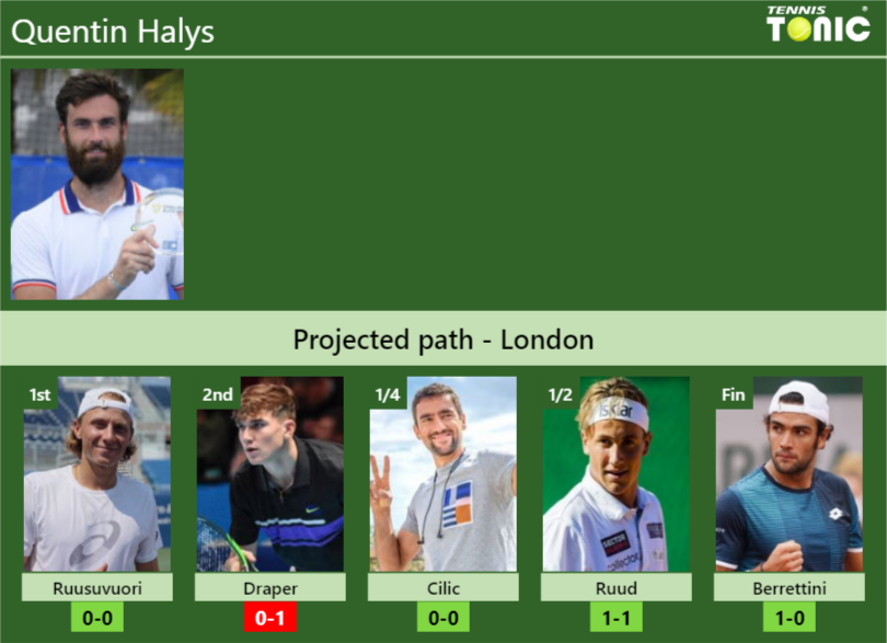 Quentin Halys Stats info