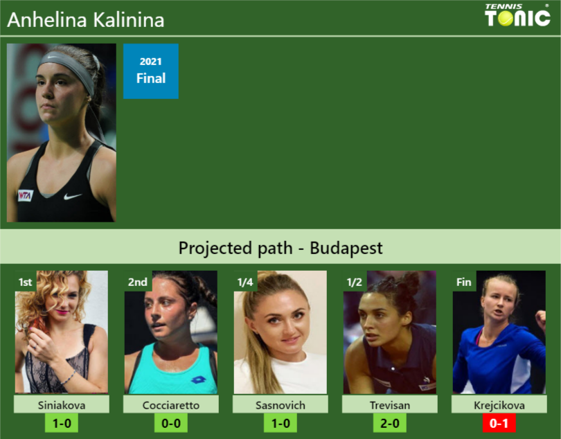 Anhelina Kalinina Stats Info Dgwhaj63js Anhelina Kalinina Stats info