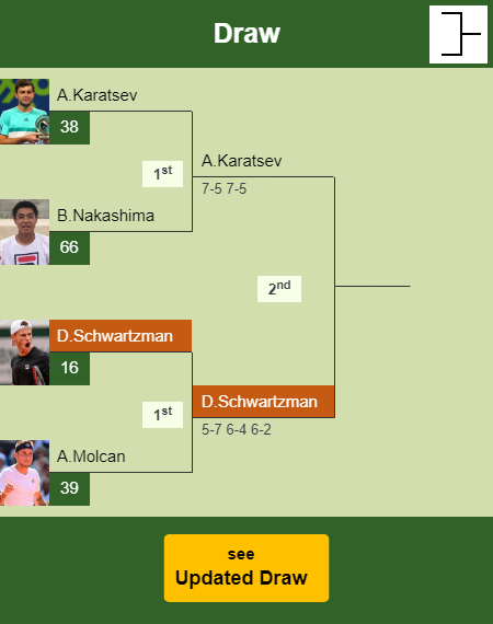 Diego Sebastian Schwartzman Draw info