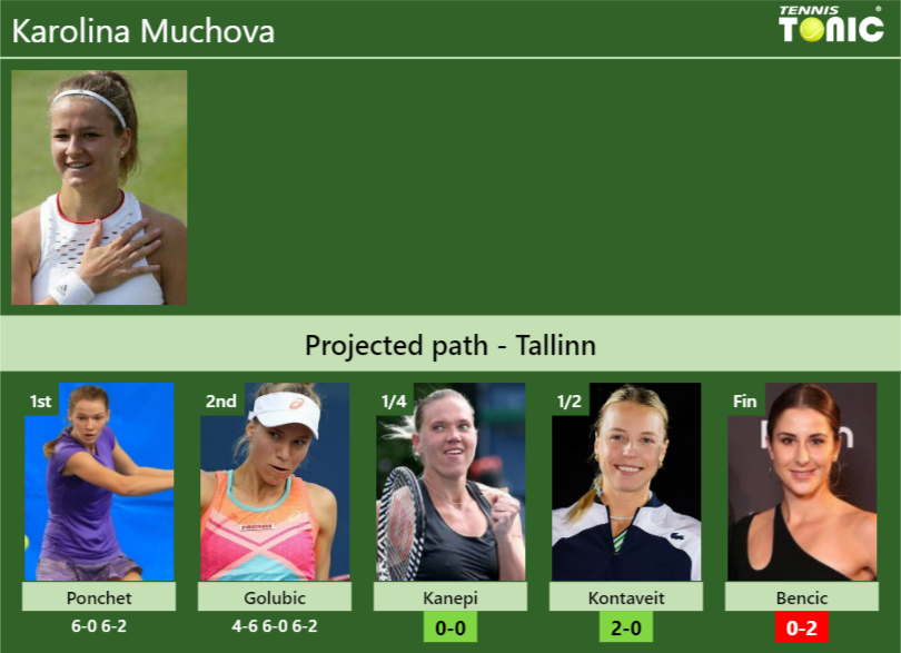Karolina Muchova Stats info