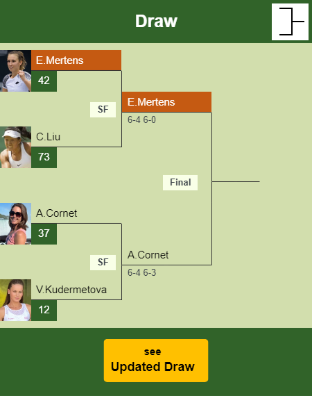 Elise Mertens Draw info