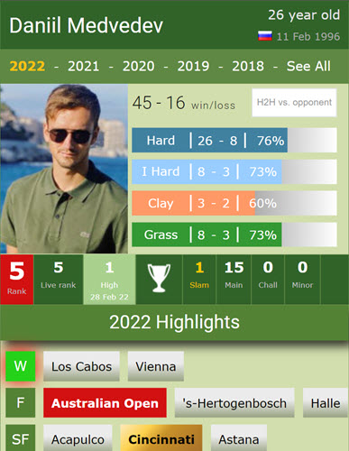 Daniil Medvedev Stats 2022