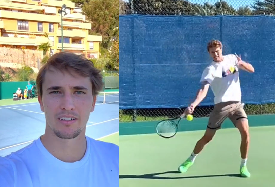Zverev Back